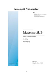 Matematik Projektoplæg