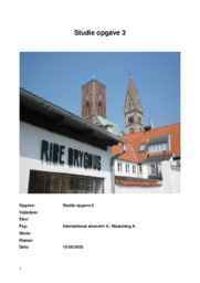 Ribe Bryghus ApS | Analyse | SO