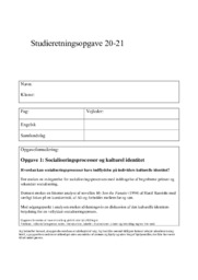 Socialiseringsprocesser og kulturel identitet  | SRO