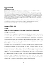 Fatamorgana AS | VØ opgave