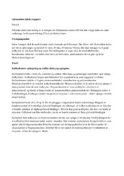 Glykæmisk indeks rapport | Biologi