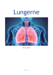 Lungerne | Biologi Rapport