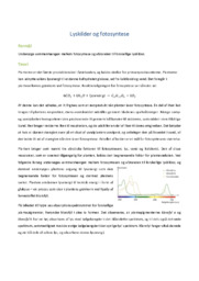 Lyskilder og fotosyntese | Biologi