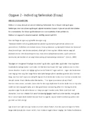 Essay | individ og fællesskab | Dansk Opgave