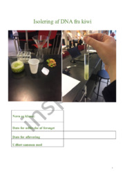 Isolering af DNA fra kiwi | Biologi