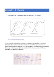 D vitamin opgave | Biologi