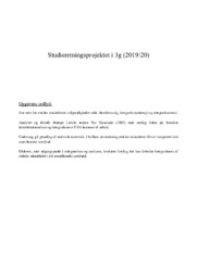 Etniske minoriteters valgmuligheder i USA | SRP