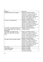 Søstrene Grene | Regnskabsanalyse