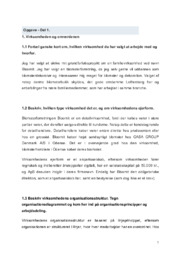 Bloomit | Virksomhedsøkonomi analyse