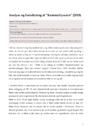 Kummefryseren | Analyse | Dorthe Nors