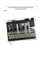 Fotosyntese og respiration hos Vandranunkel | Biologi rapport