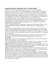 Hvad laver I her | Analyse | Peter Ronild