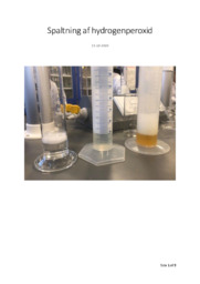 Spaltning af hydrogenperoxid | Kemirapport