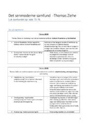 Thomas Ziehe | Begreber i det senmoderne samfund | Opgave