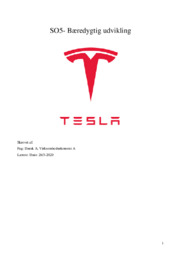 Tesla Bæredygtig udvikling i bilbranchen | SO