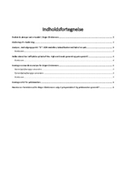 Birger Christensen virksomhedsanalyse