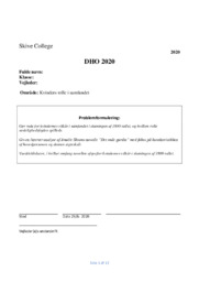 Kvinders rolle i samfundet | DHO