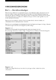 Budget, ejerform og kalkulaiton