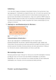 Montana | Virksomhedsanalyse