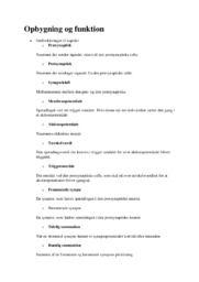 Synapsen | Biotek | Noter