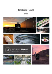Sashimi Royal | Virksomhedskarakteristik