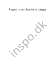 Rapport om stående snorbølger | Fysik rapport