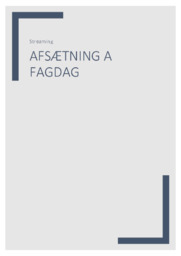 Det danske streaming-marked