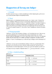 Forsøg om bølger | Rapport