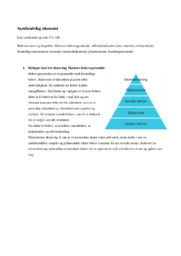 Veldfærdstrekanten | Maslows behovspyramide