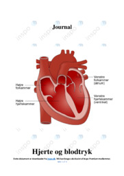 Hjerte og blodtryk | Biologi noter