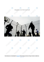 Ungdomskriminalitet | Samfundsfagsopgave