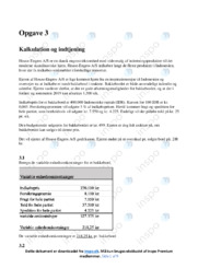 Vø hhx 10 | Kalkulation og indtjening