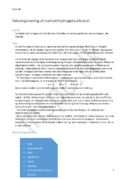 Dekomponering af Natriumhydrogencarbonat | Kemi rapport