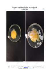 Kemikalier og biologisk materiale | Forsøg