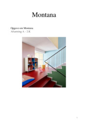 Montana | Virksomhedsanalyse