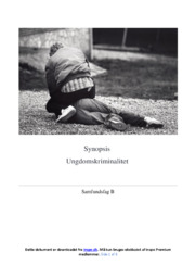 Ungdomskriminalitet | Samfundsfag