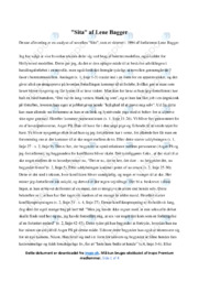 Sita | Analyse | Lene Bagger