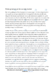 Etiske grænser | Dansk Essay