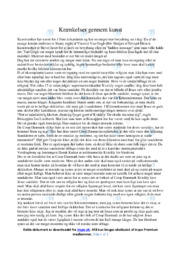 Krænkelser gennem Kunstværker | Dansk Essay