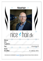 NiceHair | Virksomhedskarakteristik