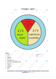 Kostanalyse | Rapport