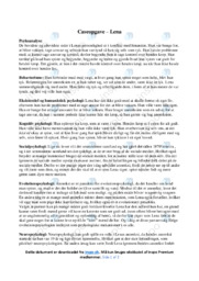 ‘Lena’ | Caseanalyse | Psykologi