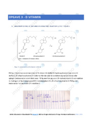 D vitamin | Bieteknologi