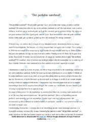 ‘Det perfekte samfund’ | Essay