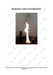 Reaktioner med carbonhydrider | Kemi