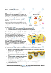 DNA og celler | Noter | Tjek vores gode noter her