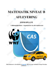 Uafhængighedstest | Emneopgave