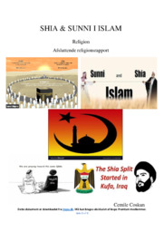 Shia og Sunni Islam | Religionsrapport