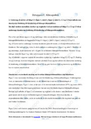 Klimapolitik | Opgave