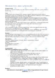 Mikroskopi af dyre-, plante- og bakterieceller | Biologirapport